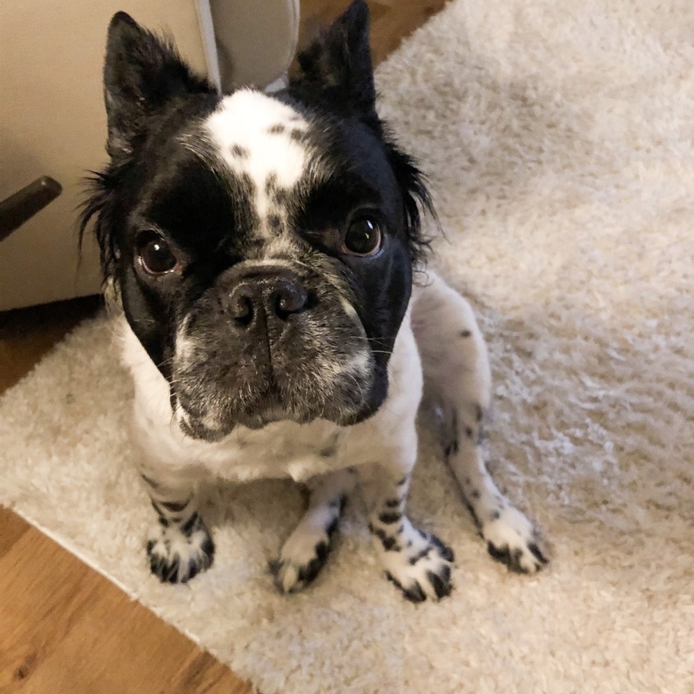 Meet your Posher, Delaney